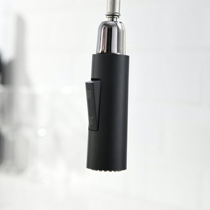 Black Sprayer for Pull down kitchen faucet