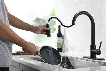 Havin HV601B Brass Material,Kitchen Sink Faucet with Pull Down Sprayer,Kitchen Faucet with Pull Out Sprayer (Matte Black)