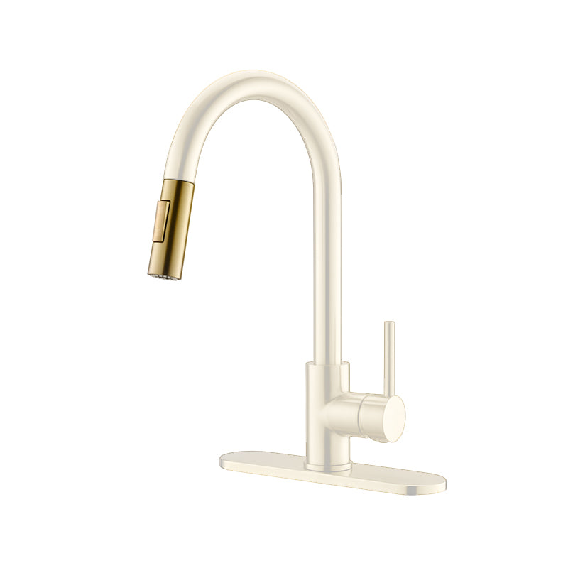 Pull down Spray for HV601 and HV501 pull-out kitchen faucet Brushed Gold